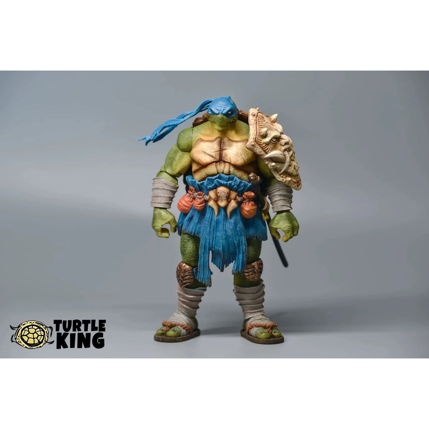 Turtle King Rogue Knight TK-001