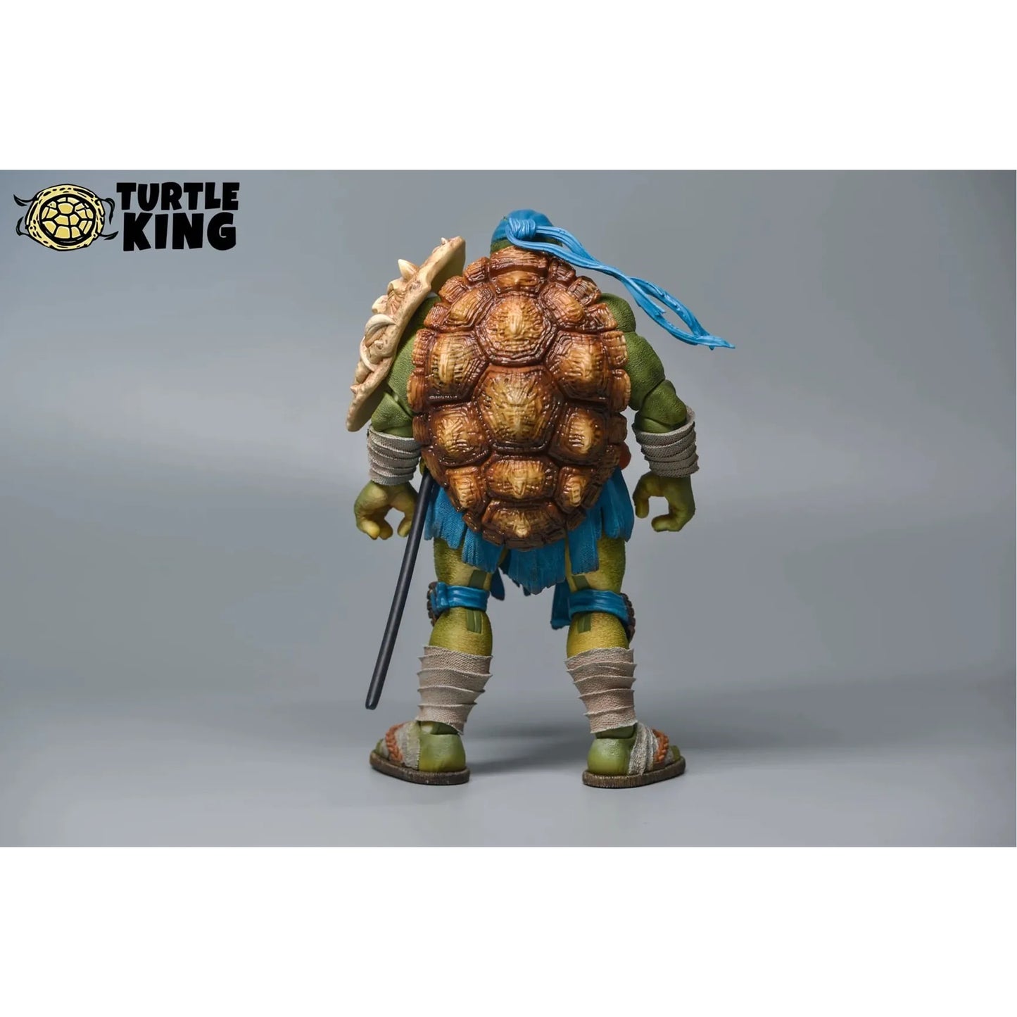 Turtle King Rogue Knight TK-001